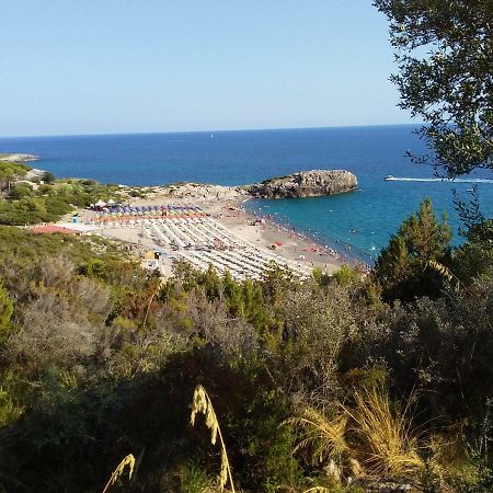 Casa Vacanze Tramonto Daire Marina di Camerota Dış mekan fotoğraf